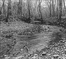 Site of first discovery of gold in the U.S.-Little Meadow Creek at the Reed Gold Mine, North Carolina.